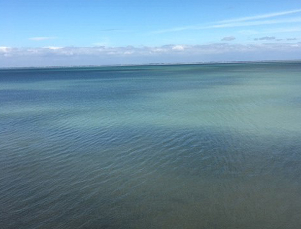 Ouverture de la Miroiterie et Menuiseries d’Aunis tout le mois d’Août 2020