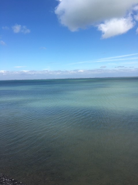 La Rochelle, Ouverture été 2020 de la Miroiterie et Menuiseries d'Aunis